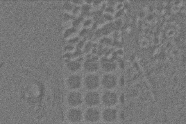 Figure 4 for Scale-Regularized Filter Learning