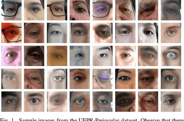 Figure 1 for UFPR-Periocular: A Periocular Dataset Collected by Mobile Devices in Unconstrained Scenarios