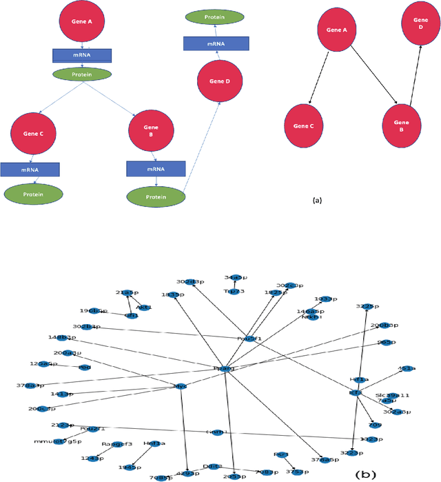 Figure 1 for Scalable Causal Structure Learning: New Opportunities in Biomedicine