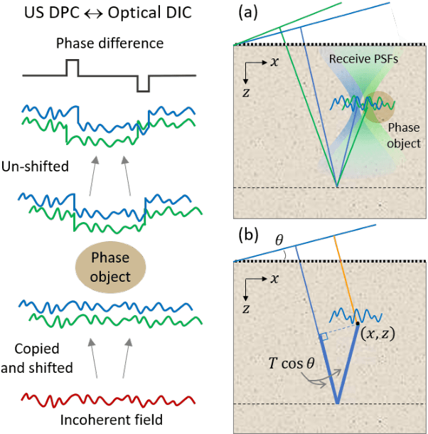 Figure 2 for Ultrasound differential phase contrast using backscattering and the memory effect