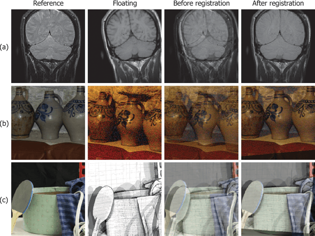 Figure 3 for Normalized Total Gradient: A New Measure for Multispectral Image Registration