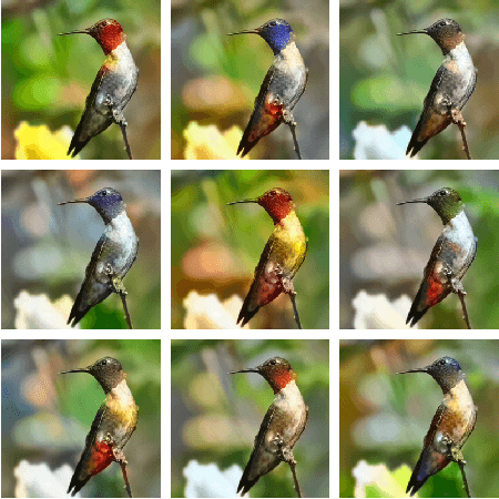 Figure 1 for Conditional Invertible Neural Networks for Diverse Image-to-Image Translation