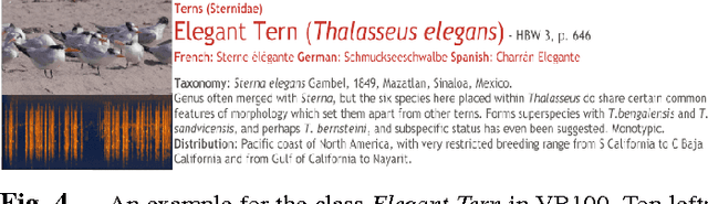 Figure 4 for Exploiting Temporal Information for DCNN-based Fine-Grained Object Classification