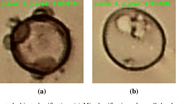 Figure 4 for Pollen13K: A Large Scale Microscope Pollen Grain Image Dataset