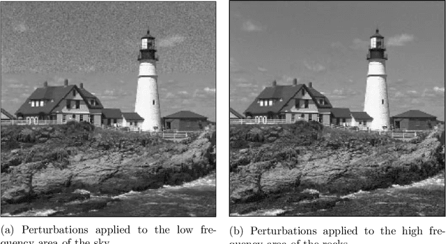 Figure 1 for The Human Visual System and Adversarial AI