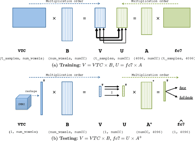 Figure 4 for Deep driven fMRI decoding of visual categories