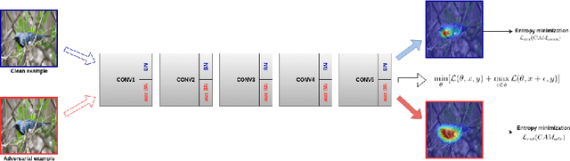 Figure 3 for Entropy Guided Adversarial Model for Weakly Supervised Object Localization
