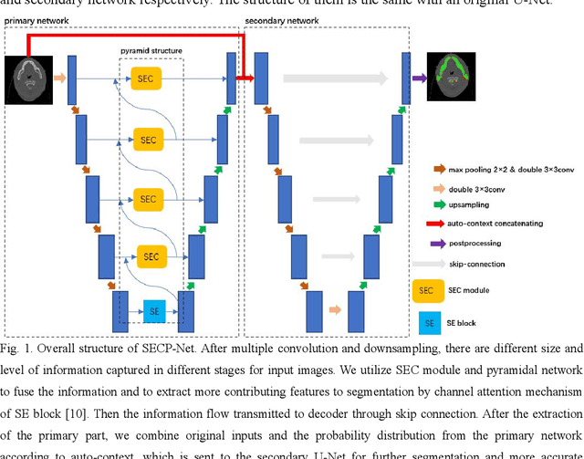 Figure 1 for SECP-Net: SE-Connection Pyramid Network of Organ At Risk Segmentation for Nasopharyngeal Carcinoma