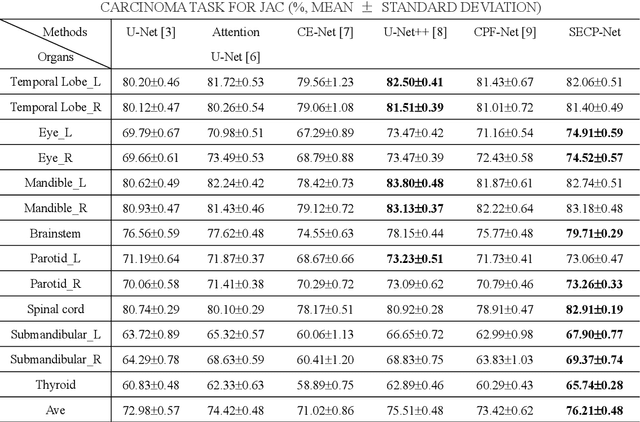 Figure 4 for SECP-Net: SE-Connection Pyramid Network of Organ At Risk Segmentation for Nasopharyngeal Carcinoma