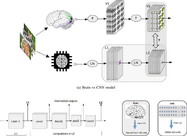 Figure 1 for Correspondence of Deep Neural Networks and the Brain for Visual Textures