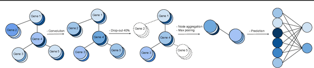 Figure 2 for Towards Gene Expression Convolutions using Gene Interaction Graphs