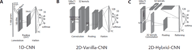 Figure 3 for Convolutional neural network models for cancer type prediction based on gene expression