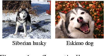 Figure 1 for Learning with a Wasserstein Loss