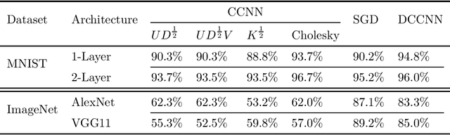 Figure 2 for Dual Convexified Convolutional Neural Networks
