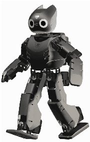 Figure 4 for RANSAC: Identification of Higher-Order Geometric Features and Applications in Humanoid Robot Soccer