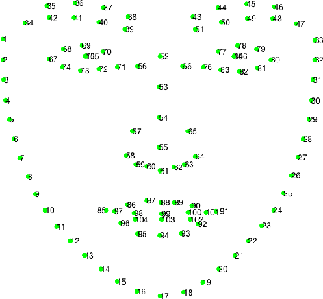 Figure 2 for Grand Challenge of 106-Point Facial Landmark Localization
