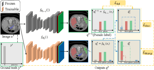 Figure 3 for Learning Incrementally to Segment Multiple Organs in a CT Image