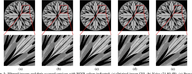Figure 1 for Directional Bilateral Filters