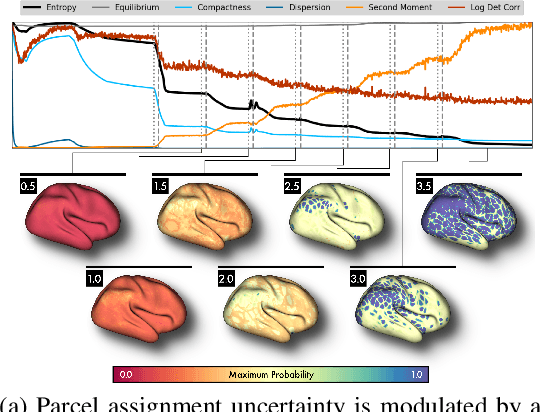 Figure 4 for Differentiable programming for functional connectomics