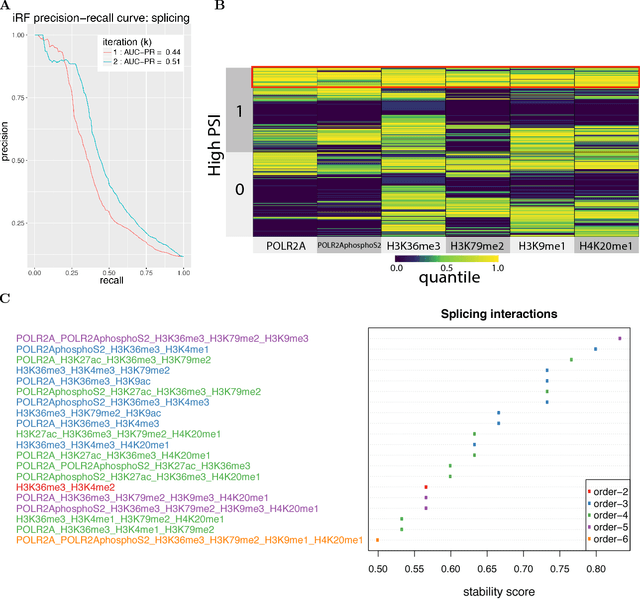 Figure 3 for Iterative Random Forests to detect predictive and stable high-order interactions