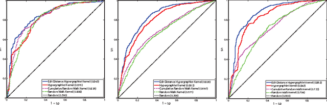 Figure 4 for Classification in biological networks with hypergraphlet kernels