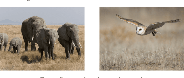 Figure 1 for Neural Networks Models for Analyzing Magic: the Gathering Cards
