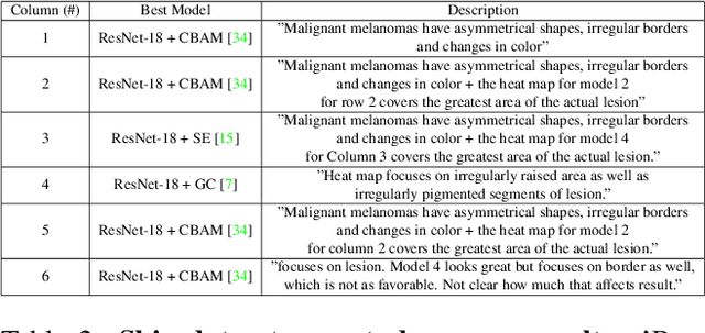 Figure 4 for Studying the Effects of Self-Attention for Medical Image Analysis