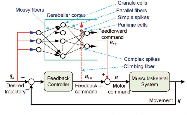 Figure 1 for Bioinspired composite learning control under discontinuous friction for industrial robots