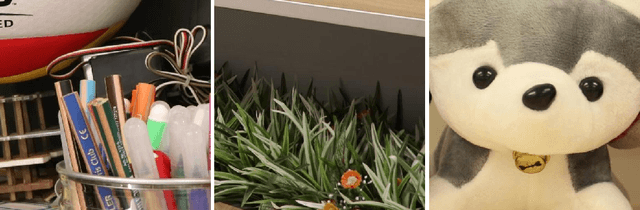 Figure 3 for Elastica Models for Color Image Regularization