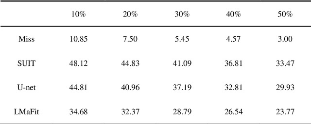 Figure 1 for Seismic data interpolation based on U-net with texture loss