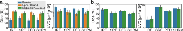 Figure 3 for Unsupervised Domain Adaptation with Contrastive Learning for OCT Segmentation