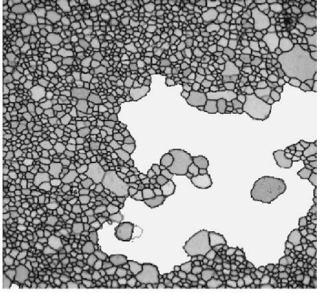 Figure 1 for Neural message passing for predicting abnormal grain growth in Monte Carlo simulations of microstructural evolution