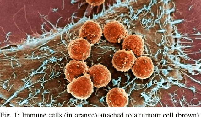 Figure 1 for Personalized Cancer Chemotherapy Schedule: a numerical comparison of performance and robustness in model-based and model-free scheduling methodologies