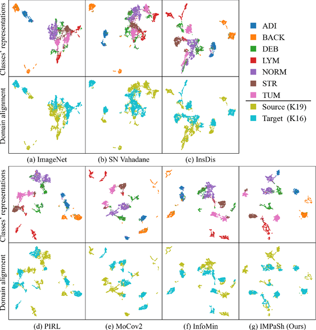 Figure 3 for IMPaSh: A Novel Domain-shift Resistant Representation for Colorectal Cancer Tissue Classification