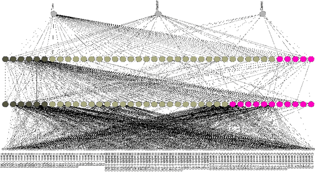 Figure 4 for Knowledge Discovery from Layered Neural Networks based on Non-negative Task Decomposition