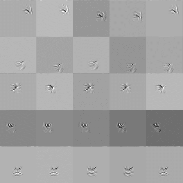 Figure 1 for Do Deep Neural Networks Learn Facial Action Units When Doing Expression Recognition?