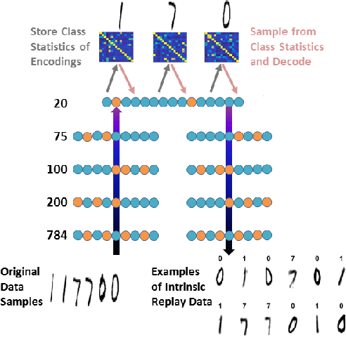 Figure 2 for Neurogenesis Deep Learning