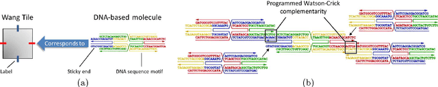 Figure 1 for Exploring Programmable Self-Assembly in Non-DNA based Molecular Computing