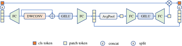 Figure 3 for Bridging the Gap Between Vision Transformers and Convolutional Neural Networks on Small Datasets