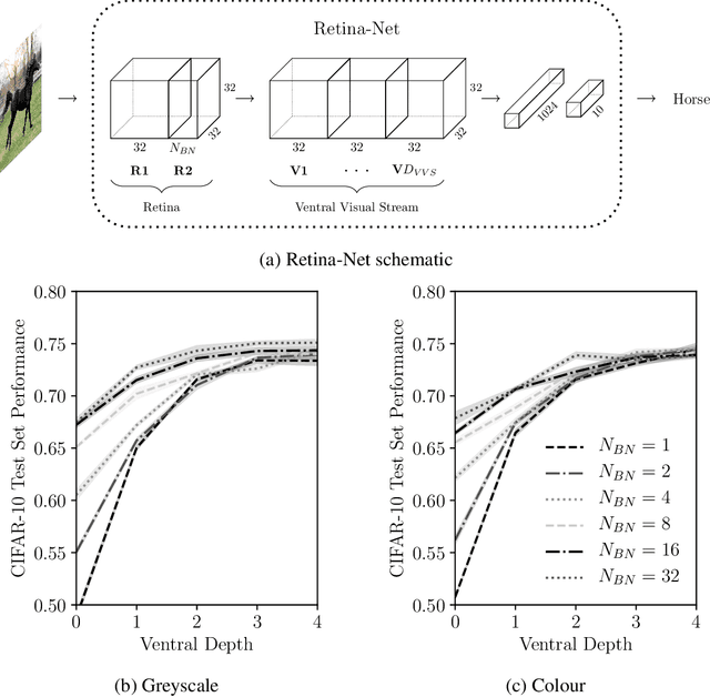 Figure 2 for How Convolutional Neural Network Architecture Biases Learned Opponency and Colour Tuning