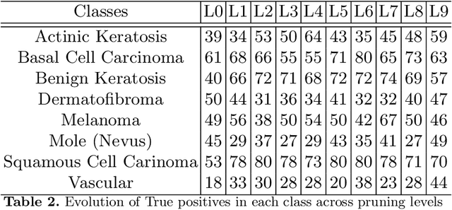 Figure 4 for Properties Of Winning Tickets On Skin Lesion Classification