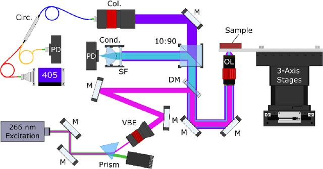 Figure 2 for Virtual Histological Staining of Label-Free Total Absorption Photoacoustic Remote Sensing (TA-PARS)