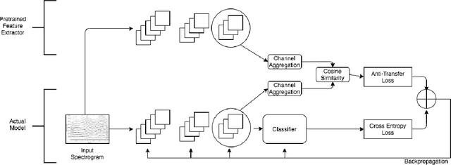 Figure 1 for Blissful Ignorance: Anti-Transfer Learning for Task Invariance