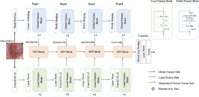 Figure 1 for HiFuse: Hierarchical Multi-Scale Feature Fusion Network for Medical Image Classification