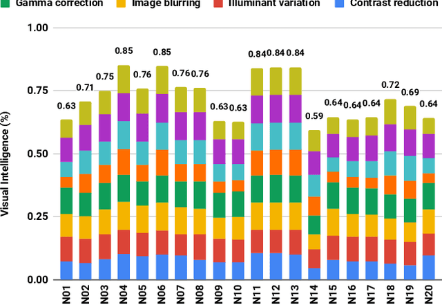 Figure 1 for Paradox in Deep Neural Networks: Similar yet Different while Different yet Similar
