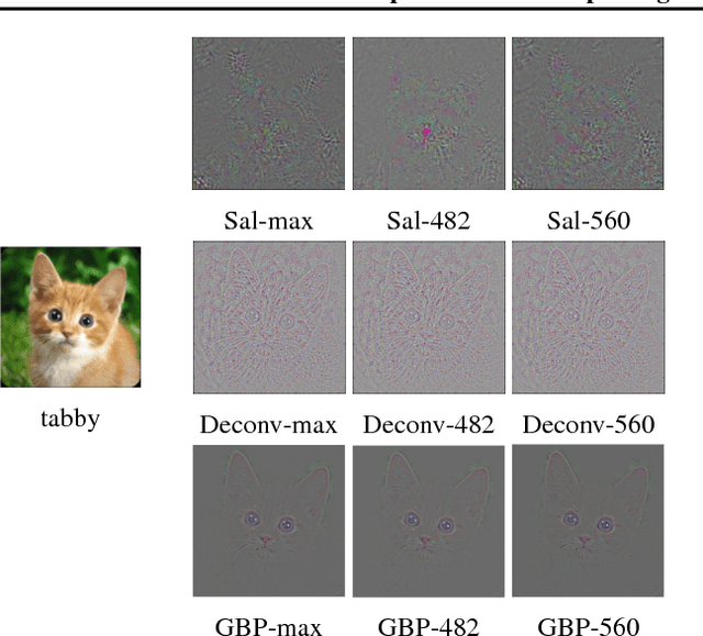 Figure 2 for A Theoretical Explanation for Perplexing Behaviors of Backpropagation-based Visualizations