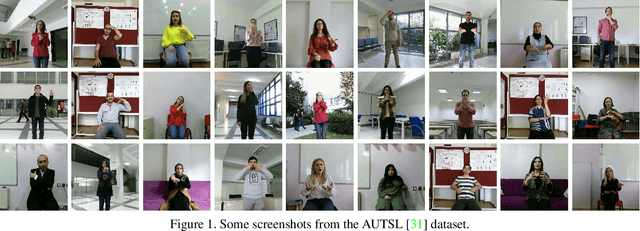 Figure 2 for ChaLearn LAP Large Scale Signer Independent Isolated Sign Language Recognition Challenge: Design, Results and Future Research