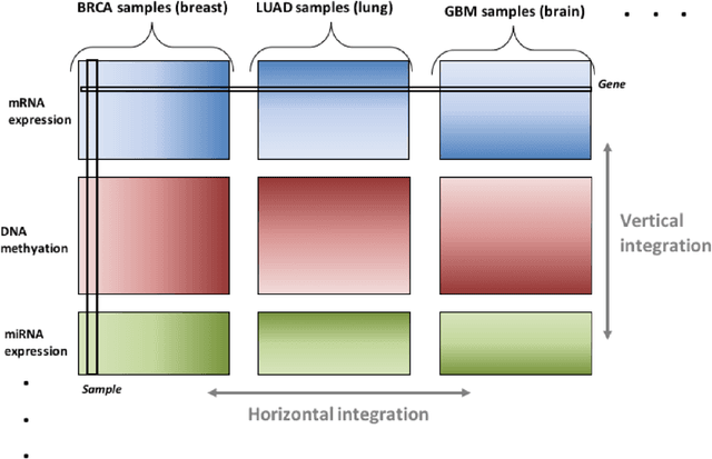 Figure 1 for Bidimensional linked matrix factorization for pan-omics pan-cancer analysis