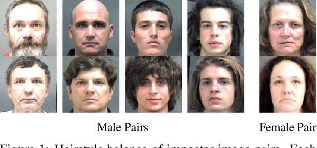 Figure 1 for The Gender Gap in Face Recognition Accuracy Is a Hairy Problem