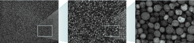 Figure 2 for Photographic dataset: random peppercorns